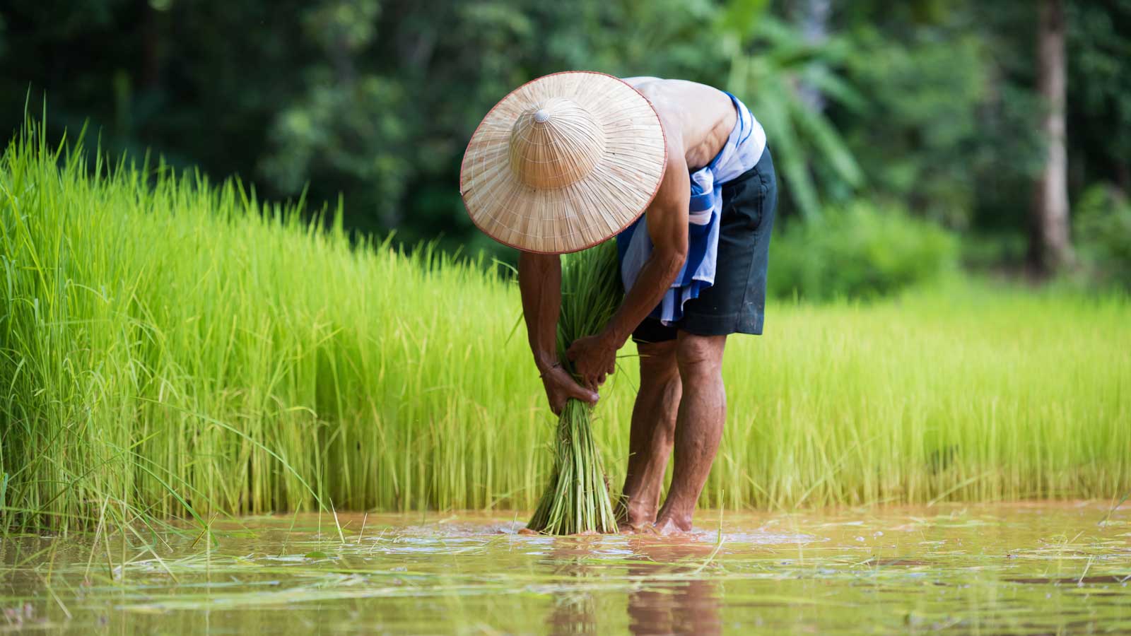 AgTech NEXT 2021 Concludes with a Focus on the Impact of Climate Change ...